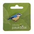 Ženkliukas eurazinis bukutis